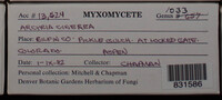 Image Associated With the Occurence